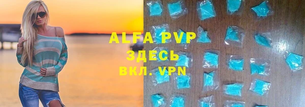 прущие грибы Куйбышев