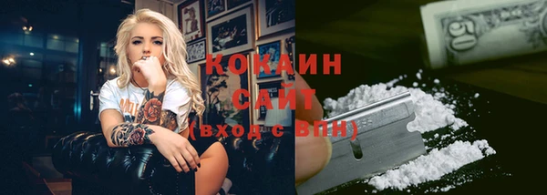 прущие грибы Куйбышев