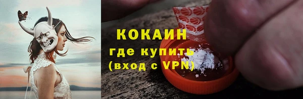 прущие грибы Куйбышев