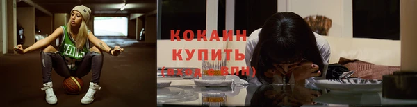 прущие грибы Куйбышев