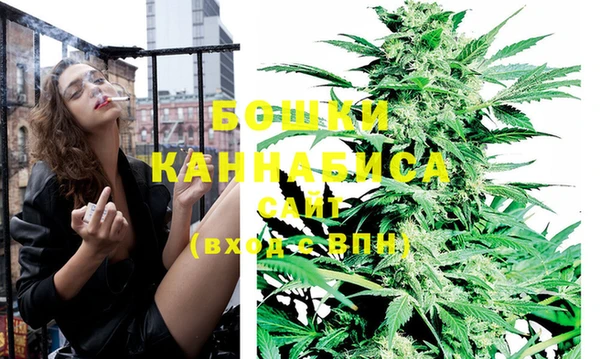 прущие грибы Куйбышев
