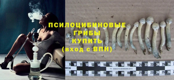 дмт Кукмор