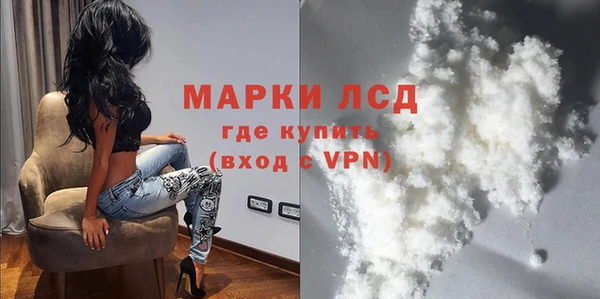 прущие грибы Куйбышев