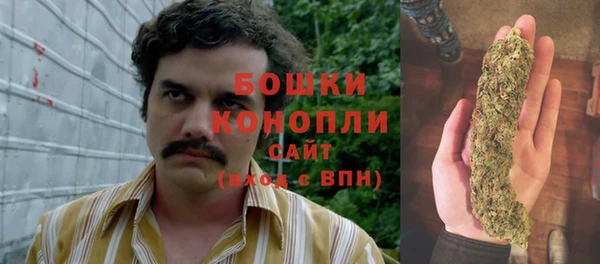 дмт Кукмор