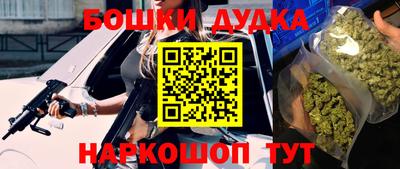 сатива Ставрополь